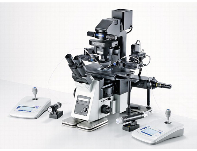 Eppendorf-میکرواینجکشن