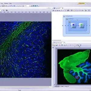 cellSens Microscope Imaging Software